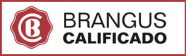 Calificación Brangus Logo Calificación Brangus Logo