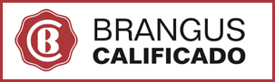 Calificación Brangus Logo Calificación Brangus Logo