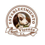 Logo San Vicente
