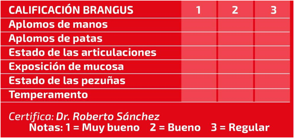 Placa Placa