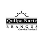 Quilpo Norte