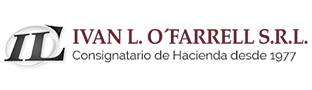 logo logo