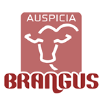 AUSPICIA BRANGUS
