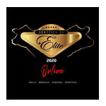 Elite