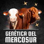 Genética-del-Mercosur