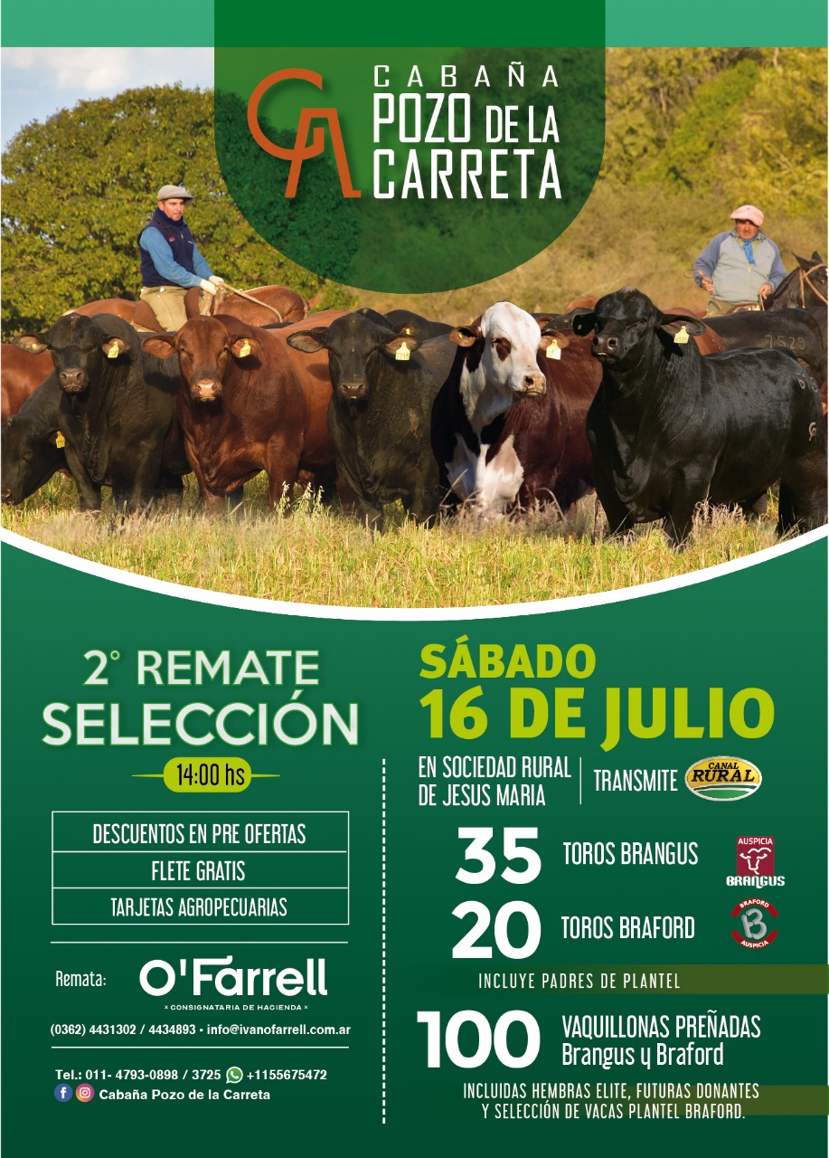 POZO DE LA CARRETA OK