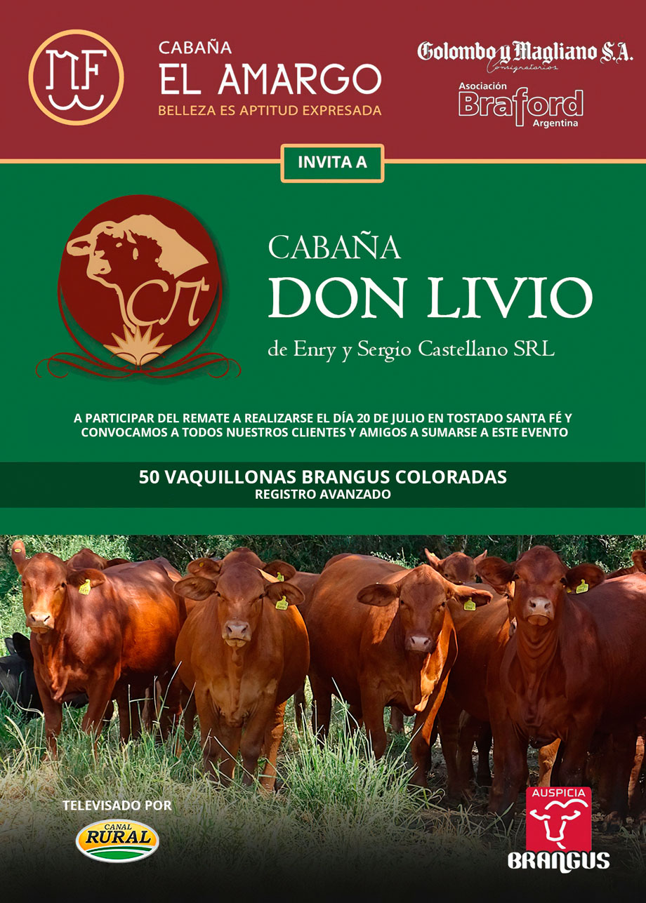 don-livio-2022-900