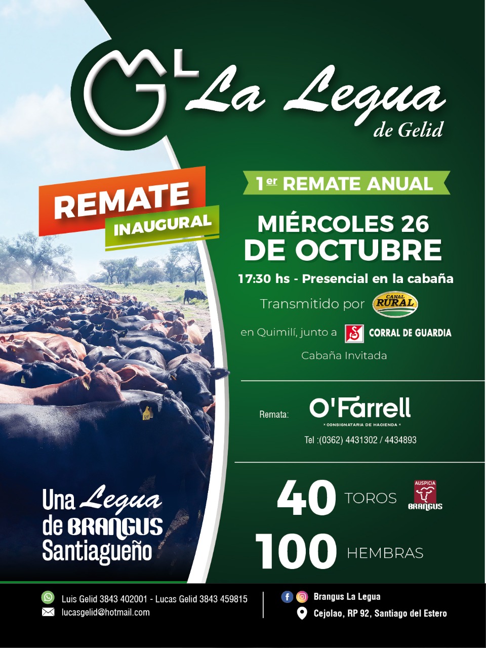 LA LEGUA